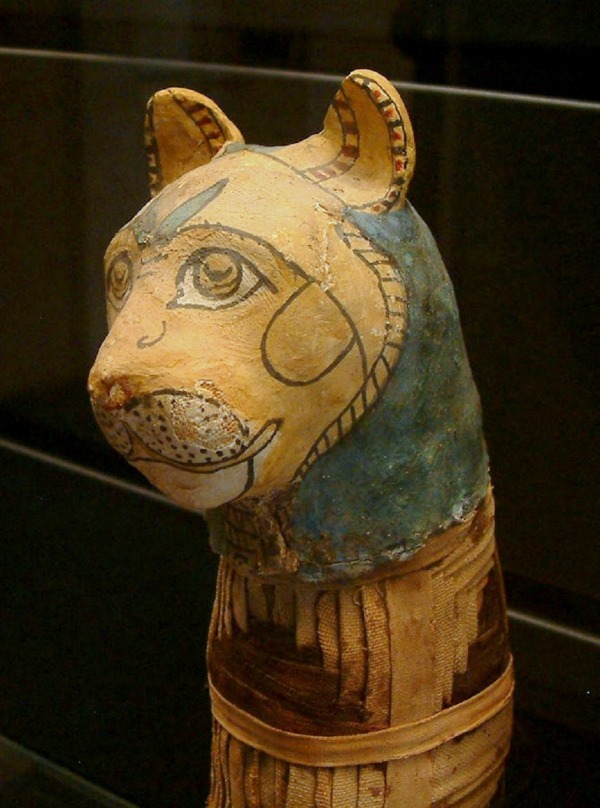6. Chat momifié musée du Louvre.