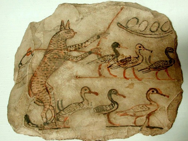 8. Chat humanisé gardant des canards Ostracon calcaire denviron 1200 ans av JC musée du Caire