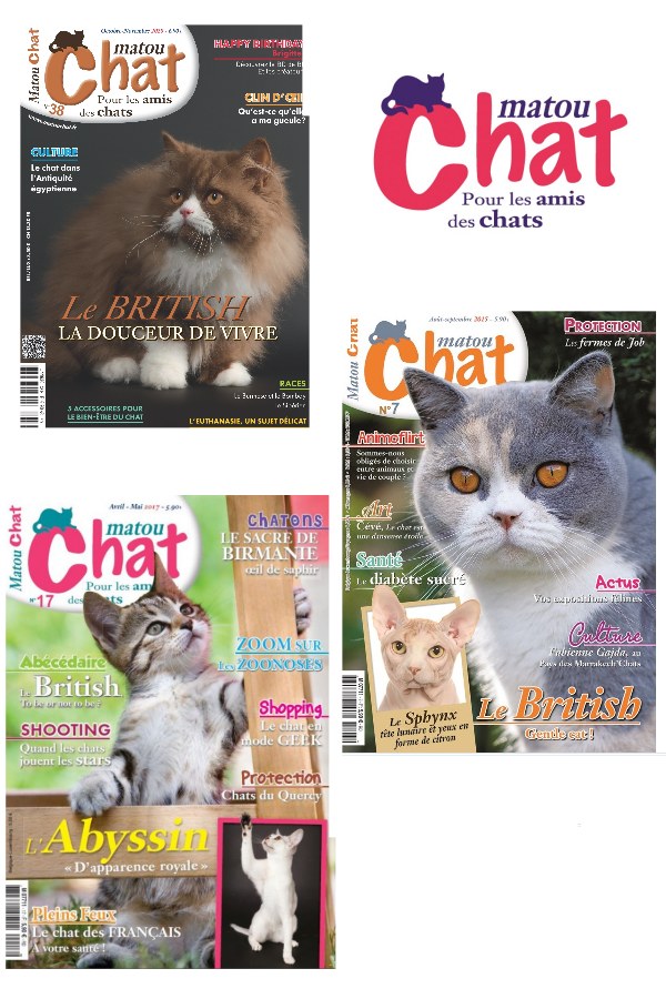 Archives des Races de chats - Matou Chat Magazine