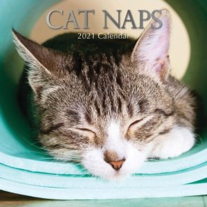 calendrier siestes de chats 2021