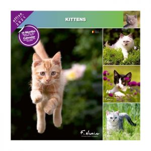 chatons 2021 calendrier affixe 3