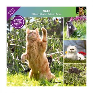chats 2021 calendrier affixe