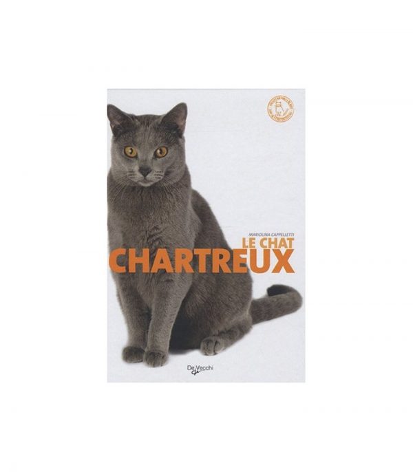 le chartreux collection chat de race